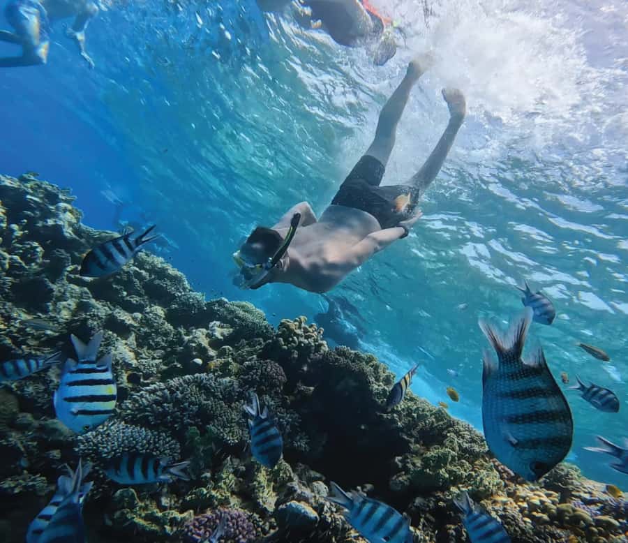Hurghada: Premium Orange Island Cruise with Lunch & Transfer - The boat ride and the Red Sea setting