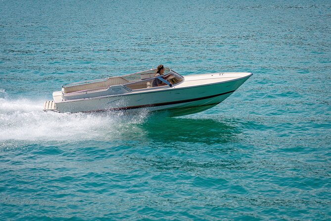 Hurghada: Private 4 Hours Speedboat Dolphin House Snorkling Tour - Key points at a glance