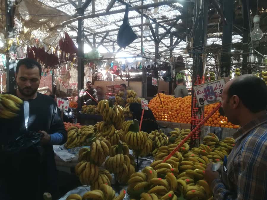 Hurghada: Private Guide City Tour & Shopping Stop - Why this short Hurghada tour works