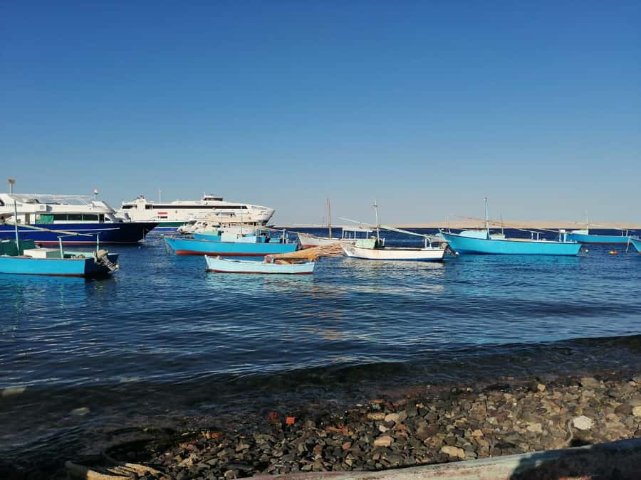 Hurghada: Private Guide City Tour & Shopping Stop - The fish market and the old fishing quarter