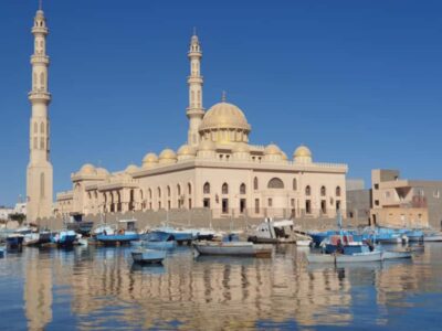 Private or Shared City Tour with Guide & Shopping