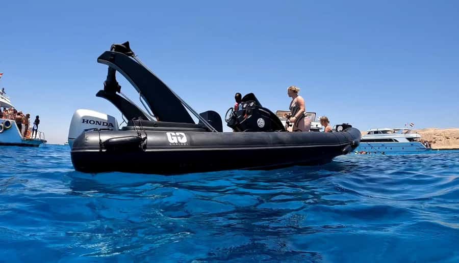 Hurghada: Private Speedboat to Dolphin House with Pickup - The crew, photos, and the optional flight