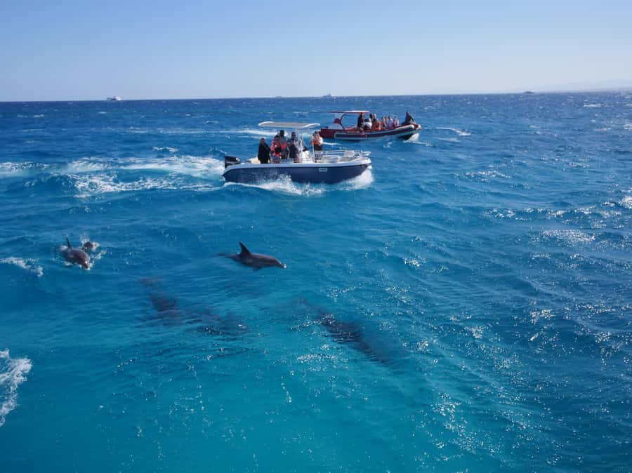 Hurghada: Private Speedboat to Orange Bay and White Island - The captain and guide make a real difference