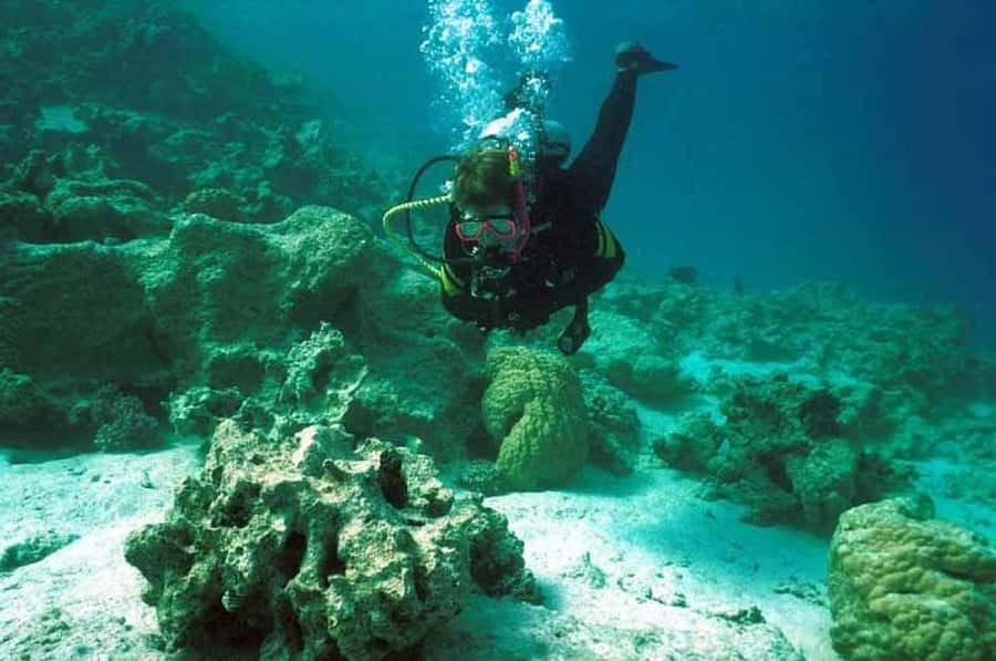 Hurghada, Professionals Diving in Open Water Tour with Lunch - A full Red Sea day from Hurghada
