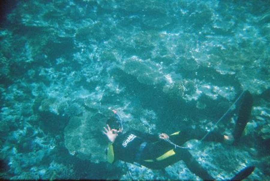 Hurghada, Professionals Diving in Open Water Tour with Lunch - Forty minutes across the Red Sea