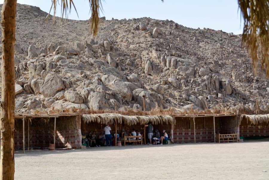 Hurghada: Quad Bike, Buggy, and Camel Ride & Bedouin Village - A short camel ride and a closer look at village life