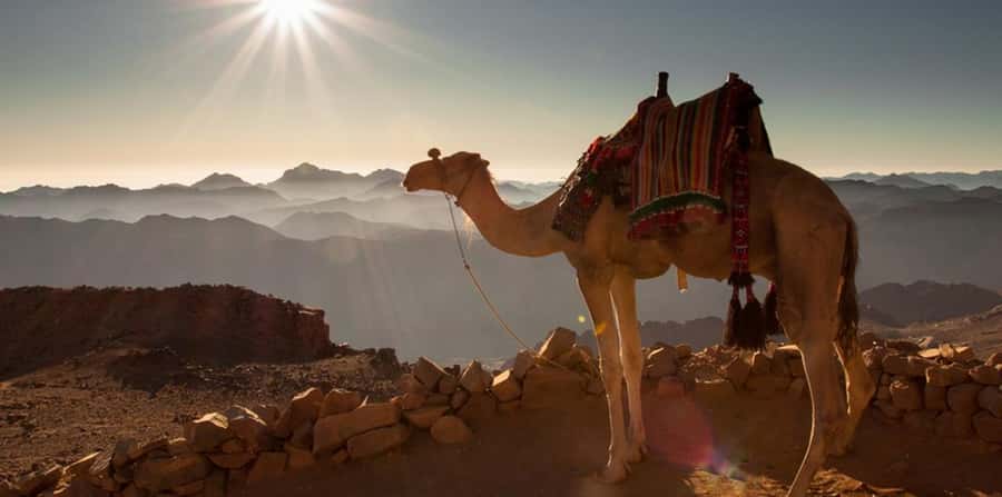 Hurghada: Quad Bike, Sea, Camel, Safari, Stargazing & Dinner - Two hours across the desert and toward the Red Sea