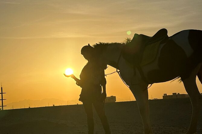 Hurghada: Red Sea & Desert Horse Riding Tour with Swimming - Swimming with your horse