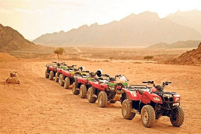 Hurghada, Red Sea sunset desert safari trip by quad bike - Key points to know before you book