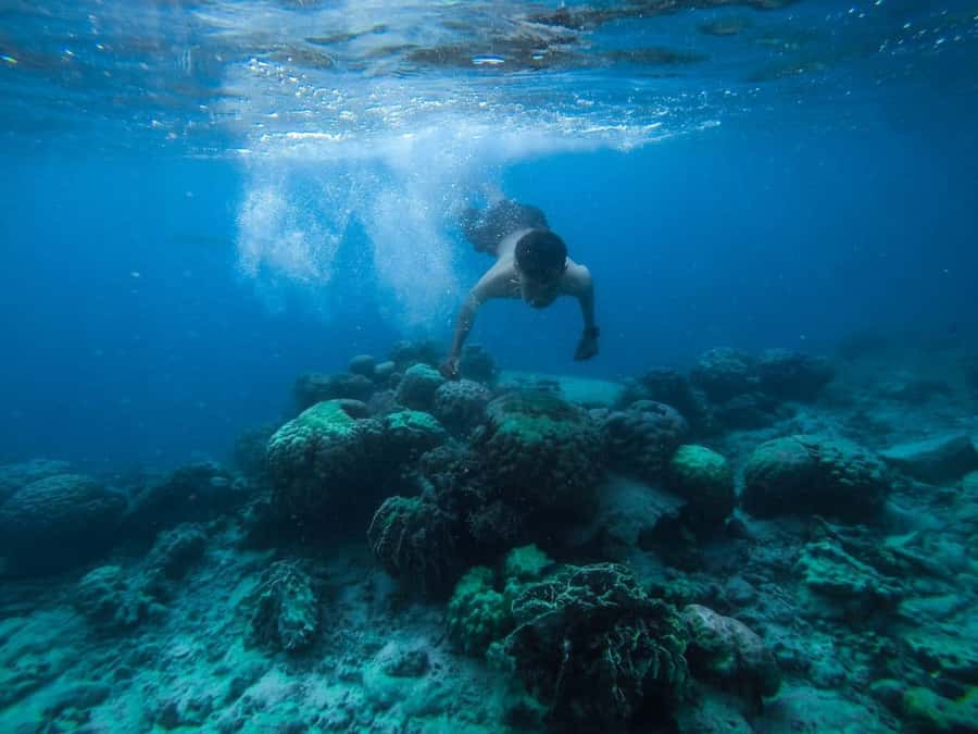 Hurghada: Royal Orange Bay with Massage, Snorkeling & Lunch - Key points to know before you book
