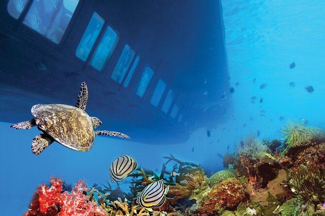 Hurghada: Royal Seascope Submarine Cruise with Snorkel Stop - Who should book this cruise?