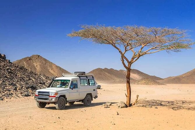 Hurghada: Safari 4x4 Jeep, Camel Ride, Dinner & Star Watching - Finding planets with a powerful telescope