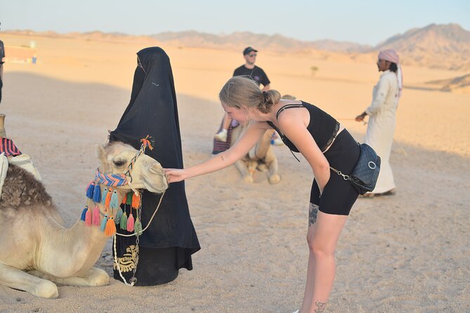 Hurghada: Safari 4x4 Jeep, Camel Ride, Dinner & Star Watching - What the guides add to the evening