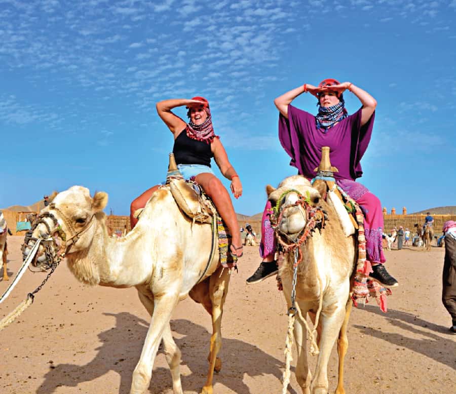Hurghada: Safari Jeep & Camel Ride with BBQ Dinner & Show - Key points to know before you book