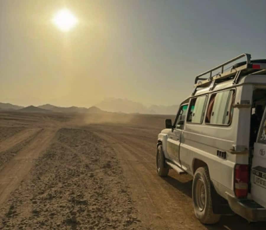 Hurghada: Safari Jeep & Camel Ride with BBQ Dinner & Show - A five-minute camel ride
