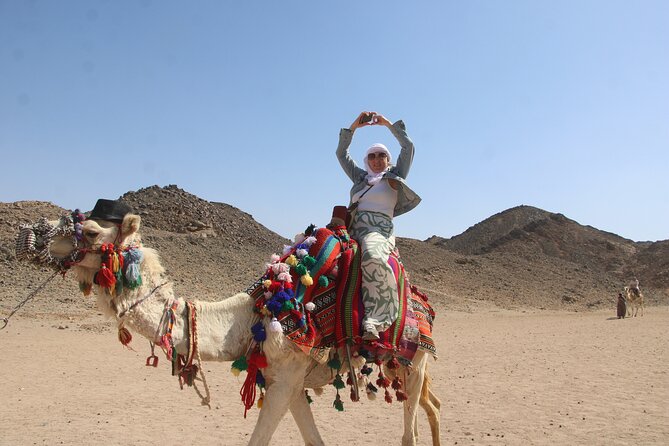 Hurghada Safari Quad and Camel Ride with Night Show and Dinner - The spider car session adds variety