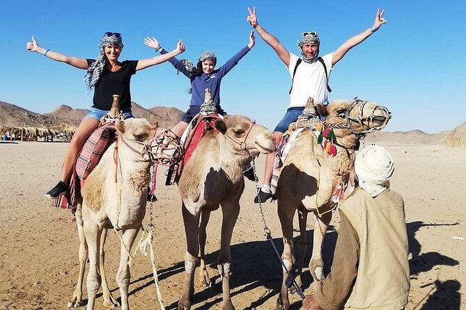 Hurghada Safari Trip Quad, Buggy, Jeep, Camel, Dinner, and Show - Key points to know before booking