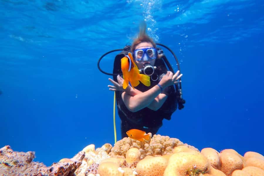 Hurghada: Scuba Diving cruise with lunch & pickup - Key points to know before booking