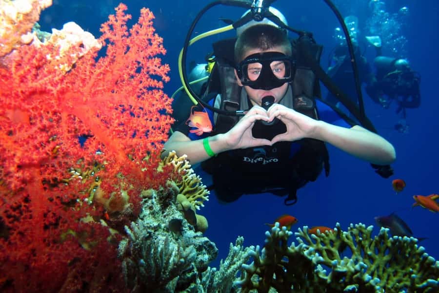 Hurghada: Scuba Diving cruise with lunch & pickup - Reaching Abu Ramada or Small Giftun Island