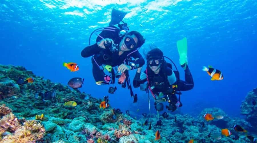 Hurghada: Scuba Diving cruise with lunch & pickup - The morning pickup from your Hurghada hotel