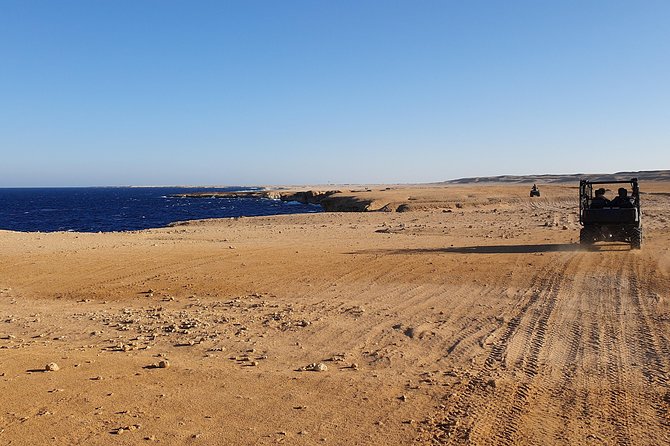 Hurghada: Sea and Mountains ATV Quad Bike Tour - The Camel Ride: A Brief Extra