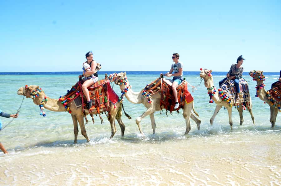 Hurghada: Sea & Desert Camel Ride w/Dinner, Show, Stargazing - What to pack and what to expect
