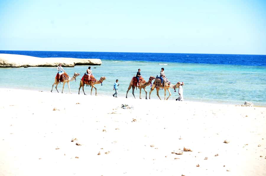 Hurghada: Sea & Desert Camel Ride w/Dinner, Show, Stargazing - Comfort tips for a long camel ride