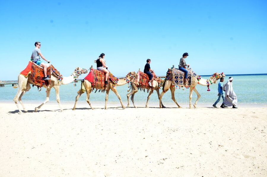 Hurghada: Sea & Desert Camel Ride w/Dinner, Show, Stargazing - Dinner, stars, and the desert after dark
