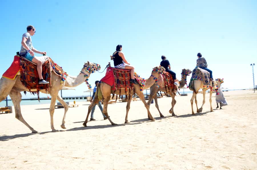 Hurghada: Sea & Desert Camel Ride w/Dinner, Show, Stargazing - Who should book this Hurghada camel ride?