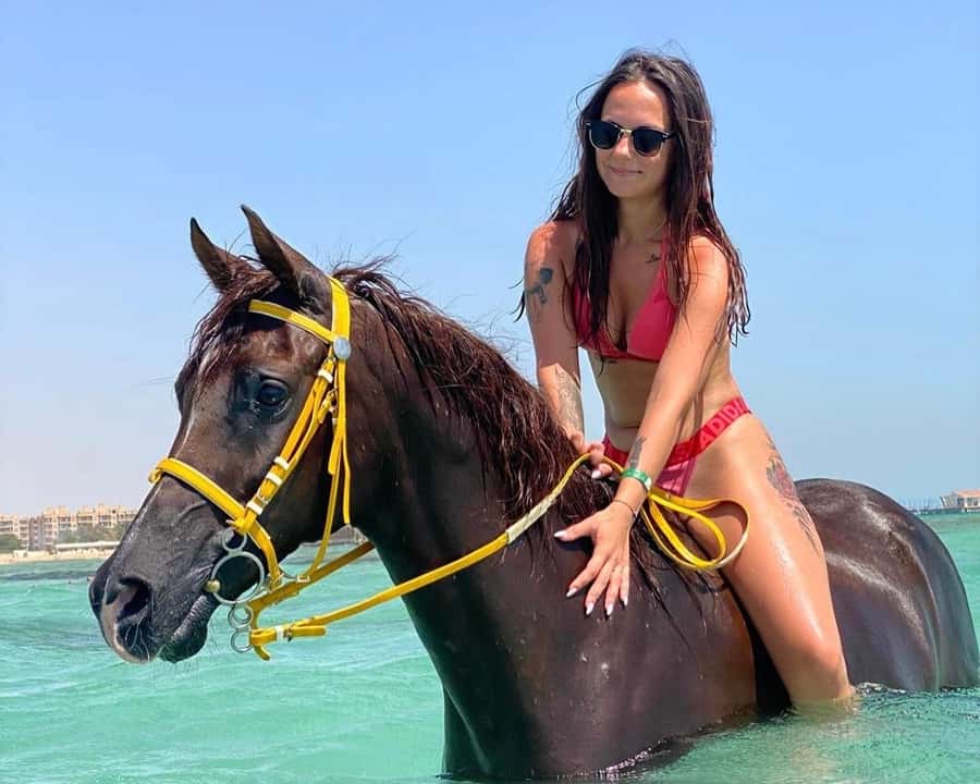Hurghada: Sea & Desert Horse Riding tour/w Swimming&Transfer - Key points to know before you book
