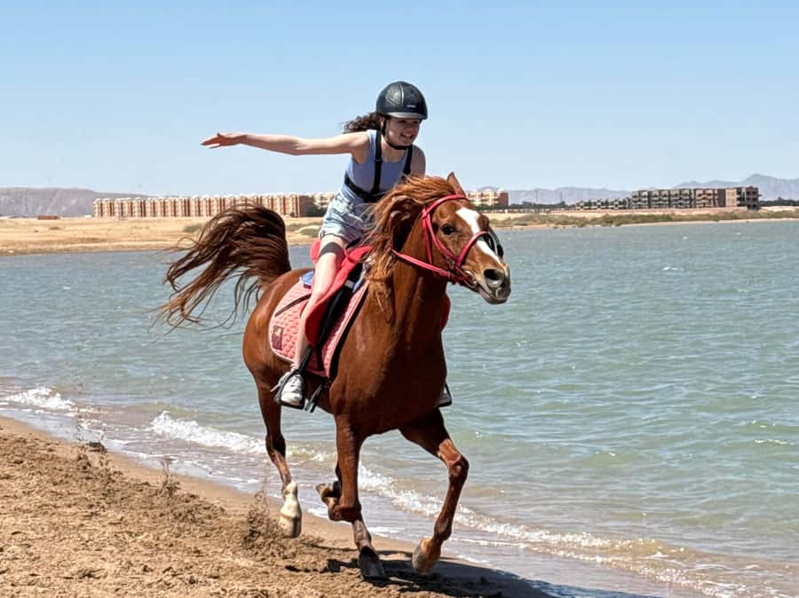Hurghada: Sea & Desert Horse Riding tour/w Swimming&Transfer - From Lucky Horses Stable to the Red Sea