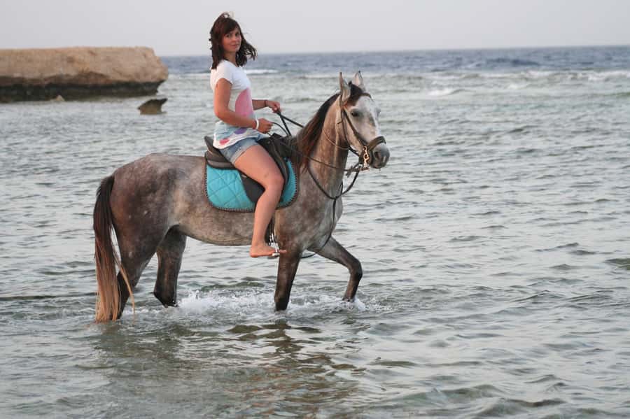 Hurghada: Sea & Desert Horse Tour, Stargazing, Dinner & Show - Quick highlights before you book