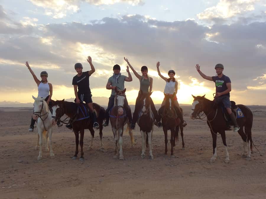 Hurghada: Sea & Desert Horse Tour, Stargazing, Dinner & Show - What this Hurghada horse ride is really like