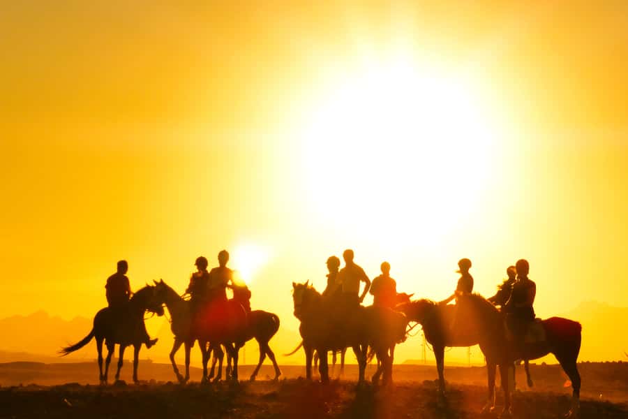 Hurghada: Sea & Desert Horse Tour, Stargazing, Dinner & Show - Who should skip it