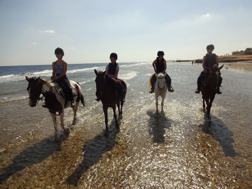 Hurghada: Sea & Desert Horse Tour, Stargazing, Dinner & Show - Practical tips for a smoother ride