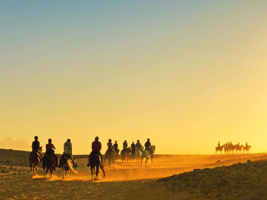 Hurghada: Sea & Desert Horse Tour, Stargazing, Dinner & Show - Choosing between sunrise, daytime, sunset, and VIP swimming