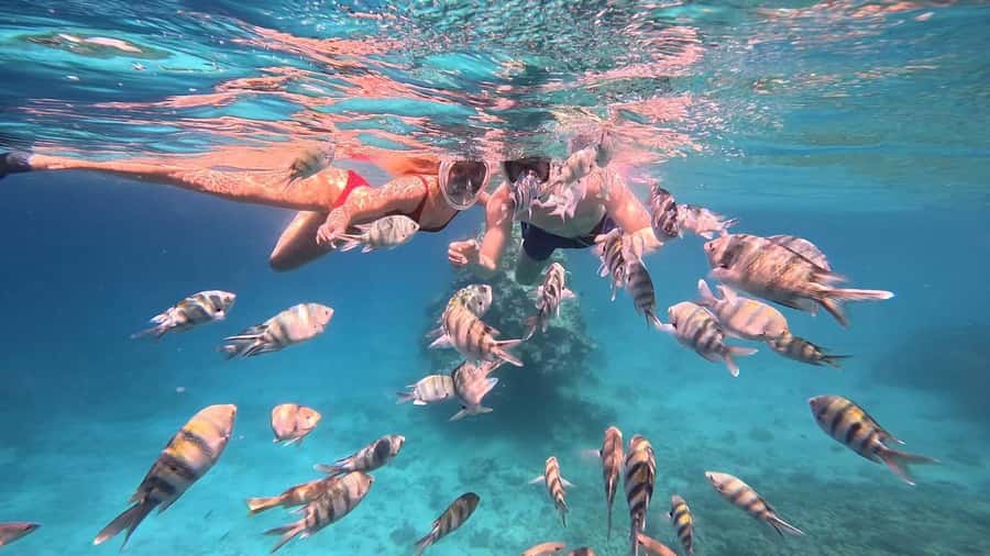 Hurghada: Snorkelling Trip by Speedboat with Hotel Pickup - The wreck and the best underwater variety