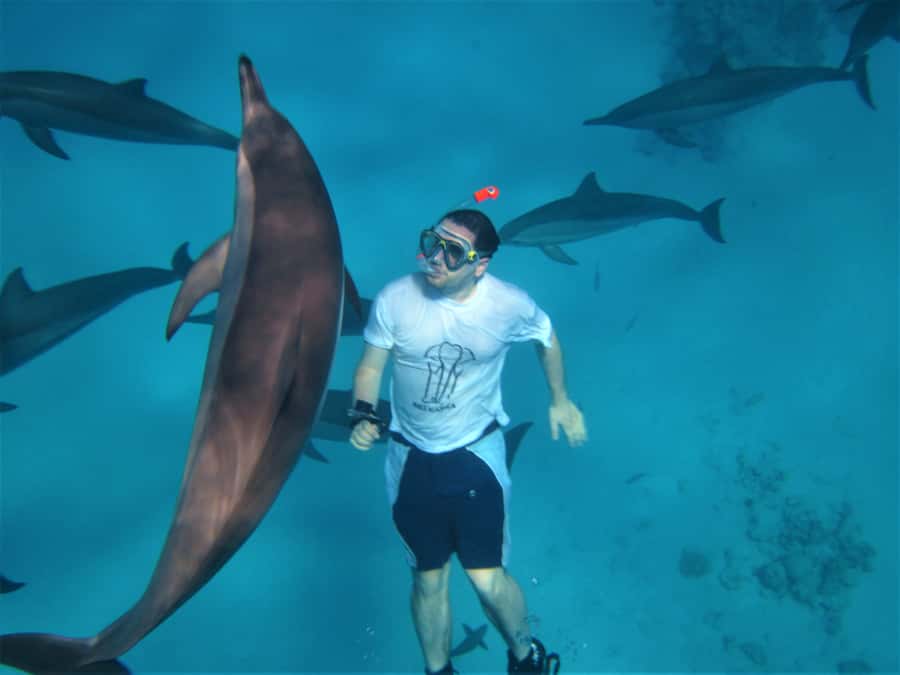 Hurghada: Speedboat Dolphin Watching & Snorkeling with Lunch - A six-hour Red Sea escape from Hurghada