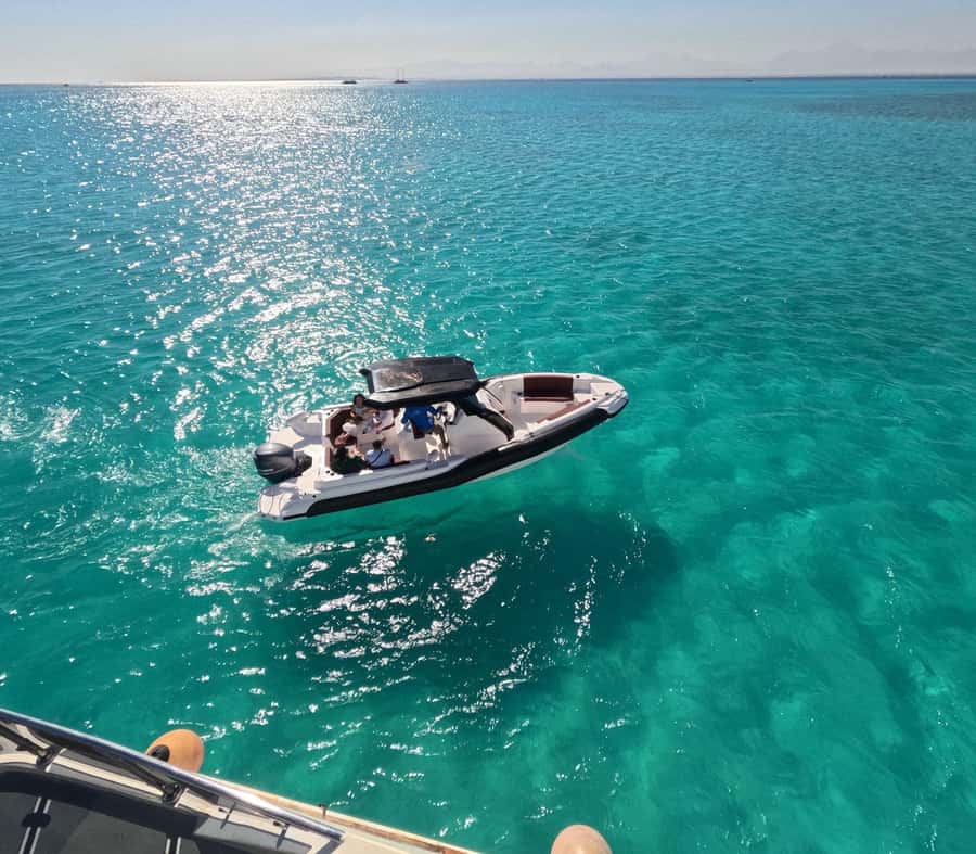 Hurghada: Speedboat Dolphin Watching & Snorkeling with Lunch - The dolphin search: exciting, but never certain