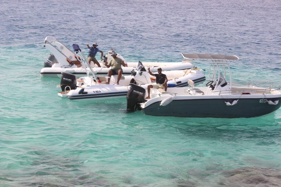 Hurghada: Speedboat Parasailing Adventures & Hotel Pick up - Who will enjoy this most