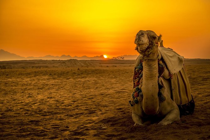 Hurghada: Star Watching Desert Adventure by Jeep with Dinner - Quick take: five things worth knowing