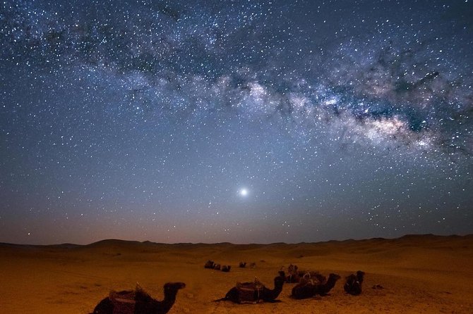 Hurghada: Star Watching Desert Adventure by Jeep with Dinner - From Hurghada hotels to the Red Sea desert