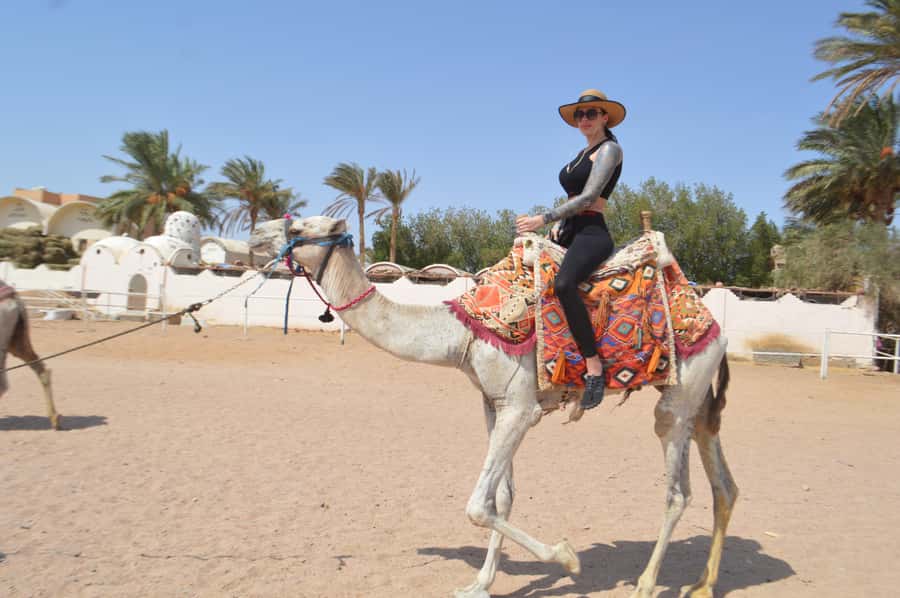 Hurghada: Sunrise Quad Bike, Camel and Oriental Breakfast - The short camel ride and what it really offers