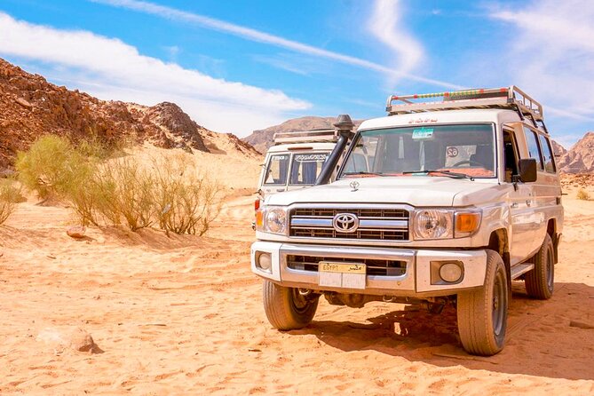 Hurghada Sunset Desert Experience, Bedouin Village & Mandi Dinner - What the guide and group size mean in practice