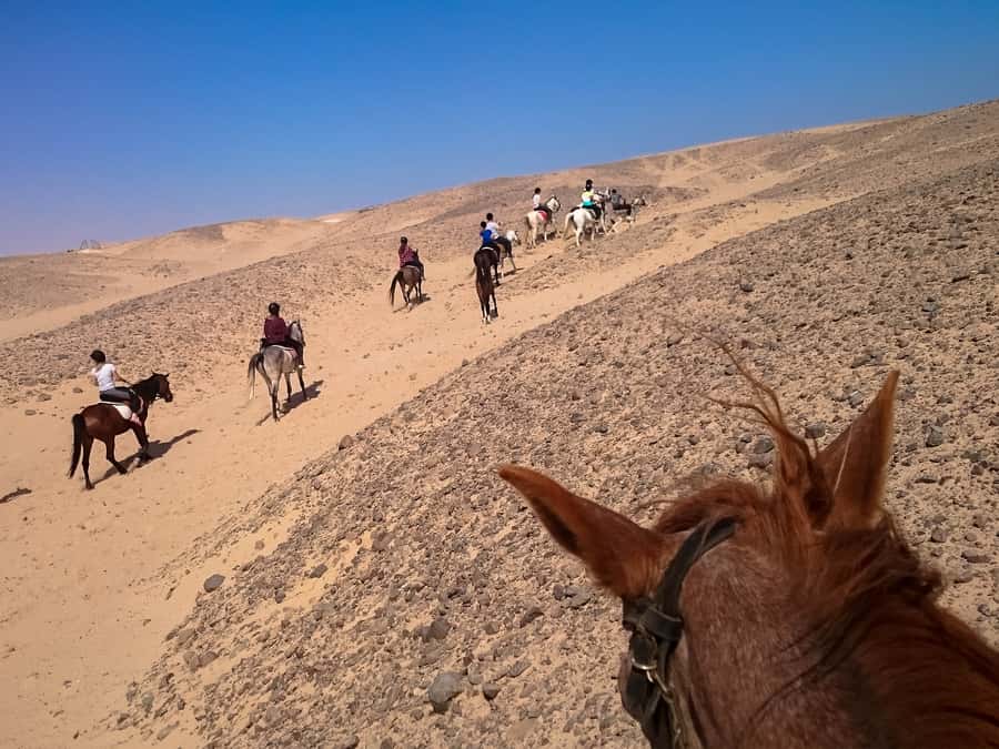 Hurghada: Sunset Sea, Desert Horse W Opt, Dinner, Stargazing - Safety: the point I would check twice
