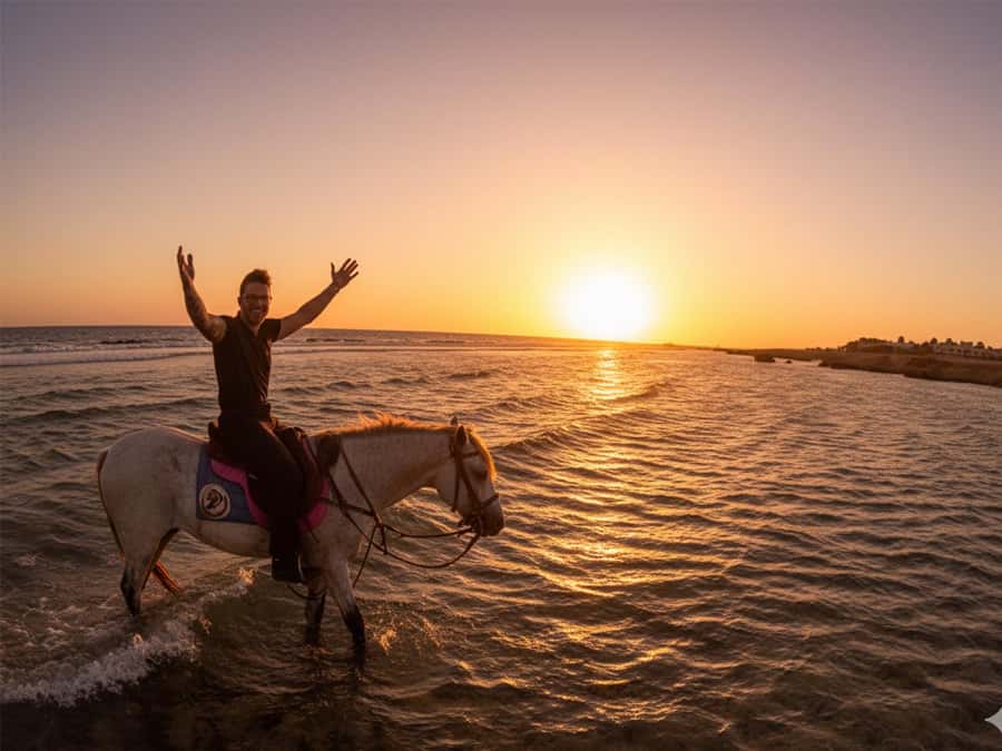 Hurghada: Sunset Sea, Desert Horse W Opt, Dinner, Stargazing - The stable, horse introduction, and first riding test