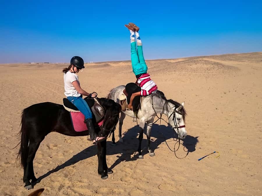 Hurghada: Sunset Sea, Desert Horse W Opt, Dinner, Stargazing - Two hours through desert and along the Red Sea
