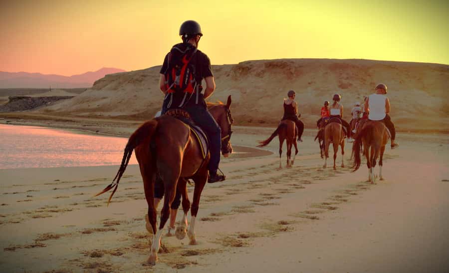 Hurghada: Sunset Sea, Desert Horse W Opt, Dinner, Stargazing - What beginner riders should expect