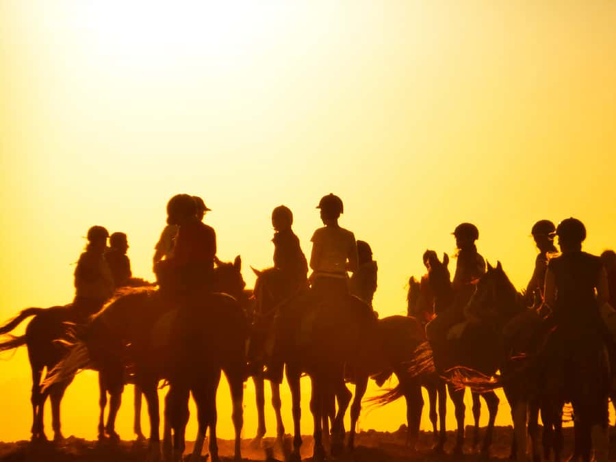 Hurghada: Sunset Sea, Desert Horse W Opt, Dinner, Stargazing - Sunrise, sunset, swimming, and sea options