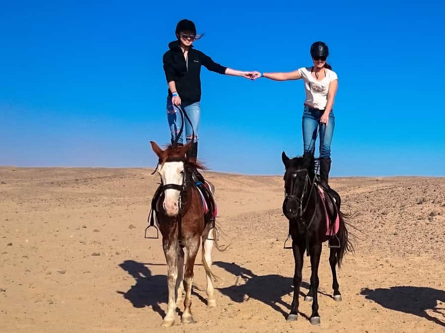 Hurghada: Sunset Sea, Desert Horse W Opt, Dinner, Stargazing - Dinner, dance show, and stargazing after dark